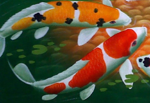 Gambar Ikan Koi Termahal