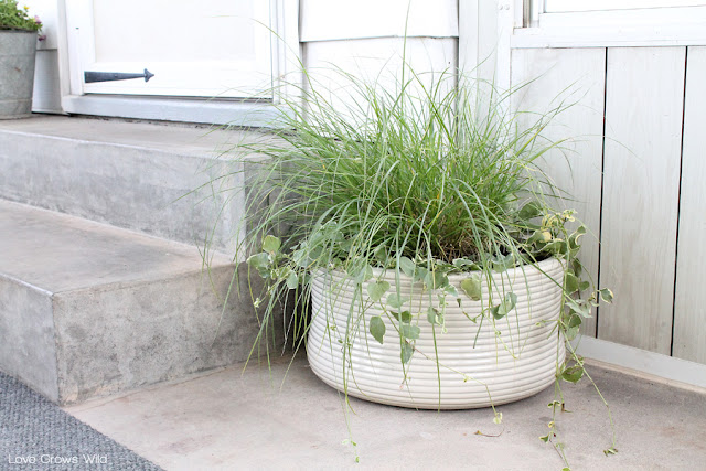 Simple, inexpensive decor to create an inviting outdoor living space! at LoveGrowsWild.com