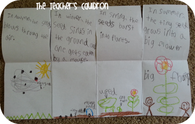 Spring Book 10: The Tiny Seed - Mom Envy