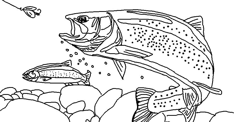 Coloring Page World: Rainbow Trout (Landscape)