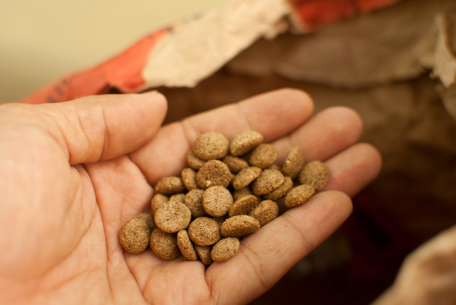 Buy healthy options dog food online
