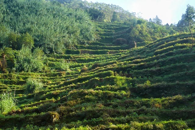 CIRICIRI KENAMPAKAN ALAM WILAYAH INDONESIA Layar Asdos