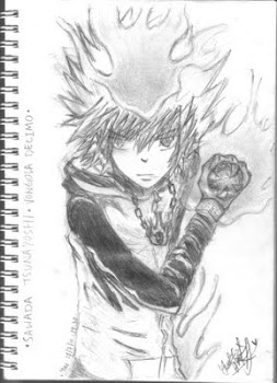 Sawada Tsunayoshi form KHR