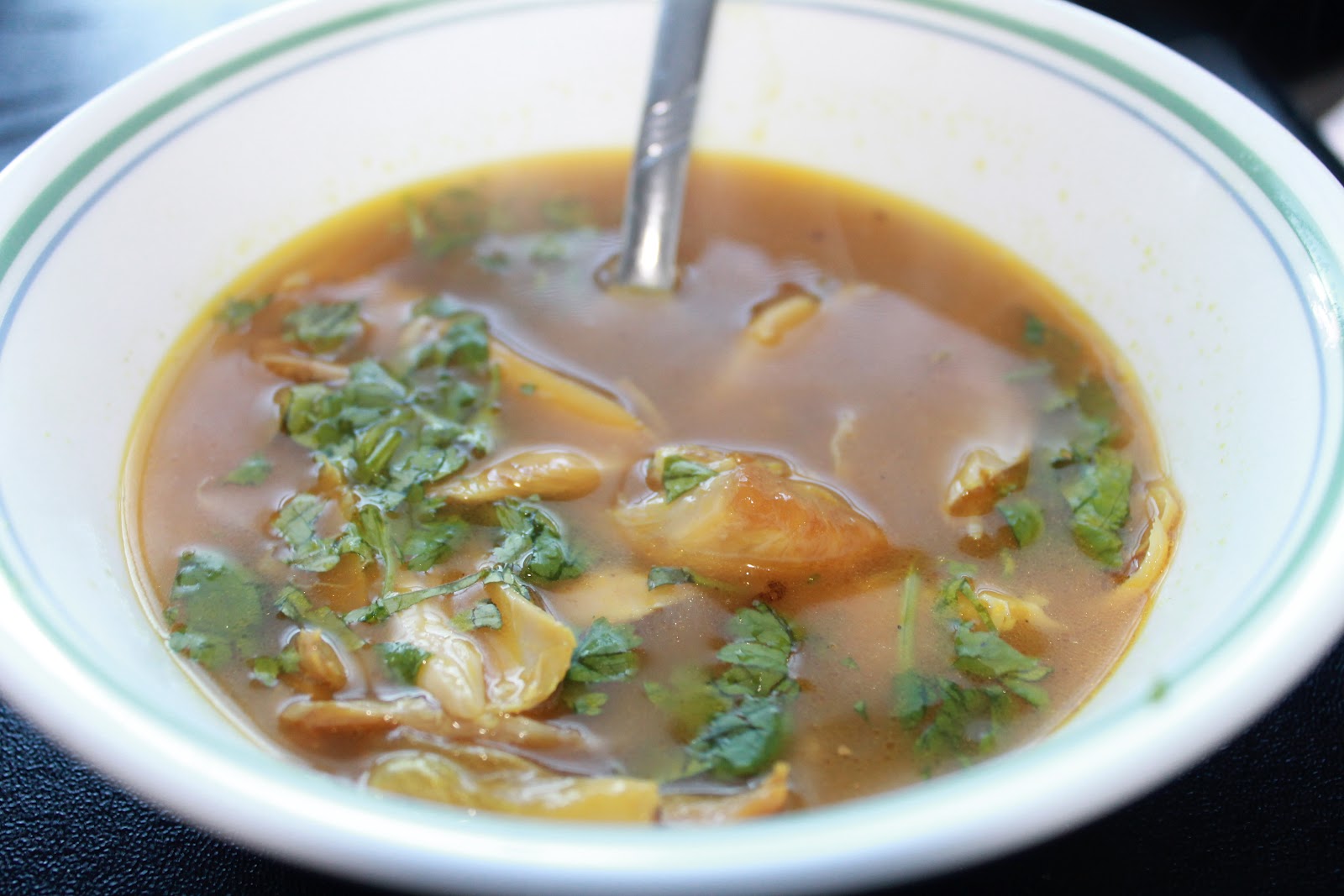 Simply Sangee South Indian Chicken soup.