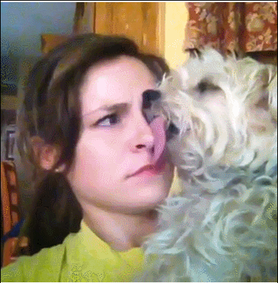 dog-licking-girls-face.gif
