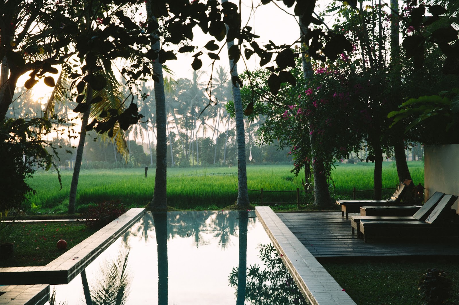 Indonesianinspired choko curry + photos from Bali! My Darling Lemon