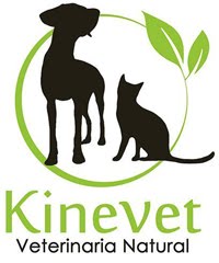 Kinevet