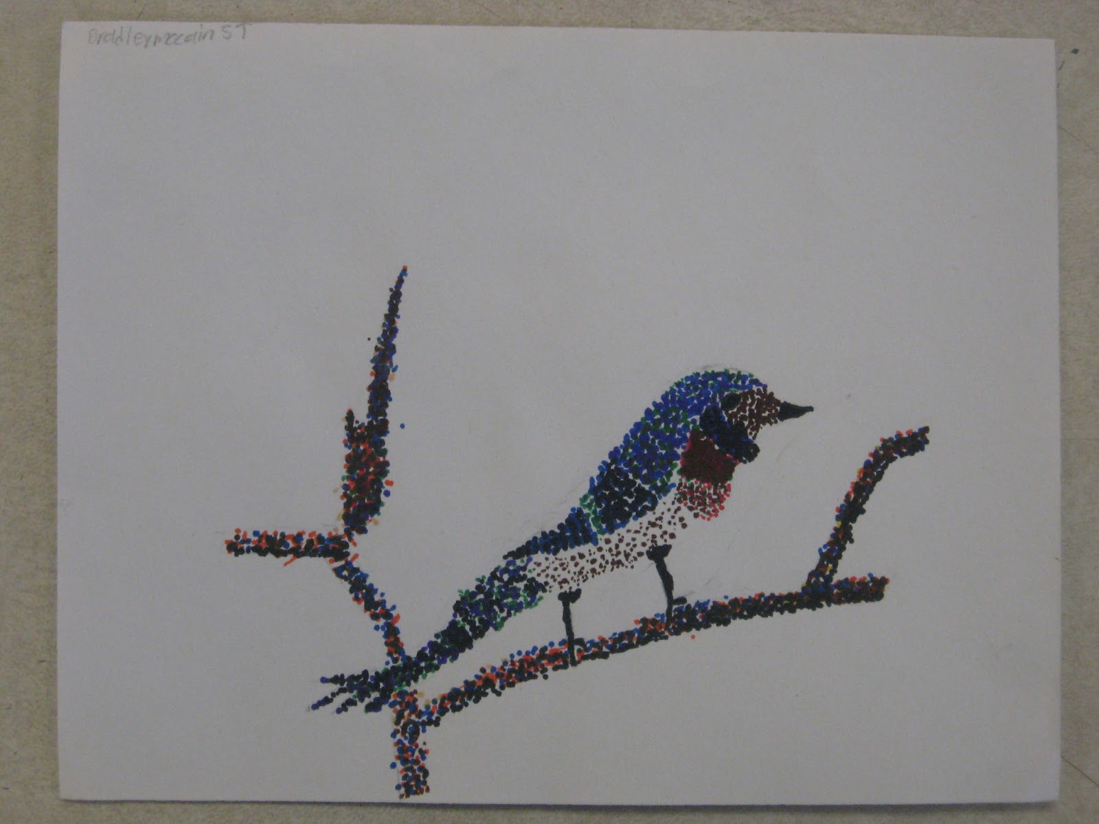 Miss Young's Art Room: 5th Grade Pointillism Birds
