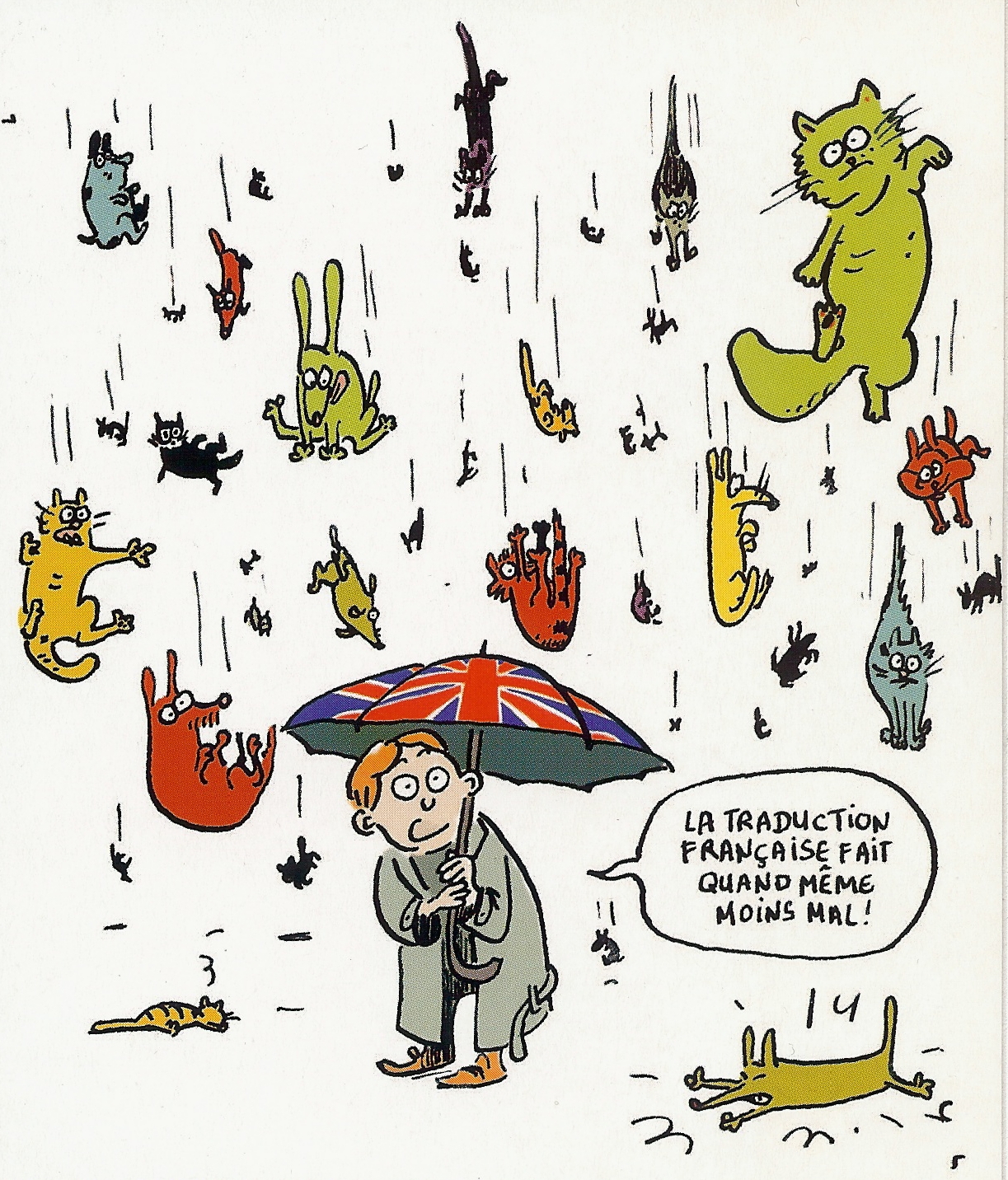 Raining Cats Dogs