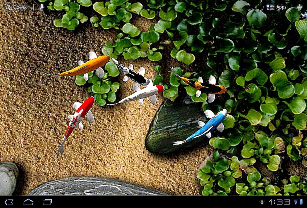 Koi Free Live Wallpaper Android Apps on Google Play Koi Free Live Wallpaper Android Apps on Google Play