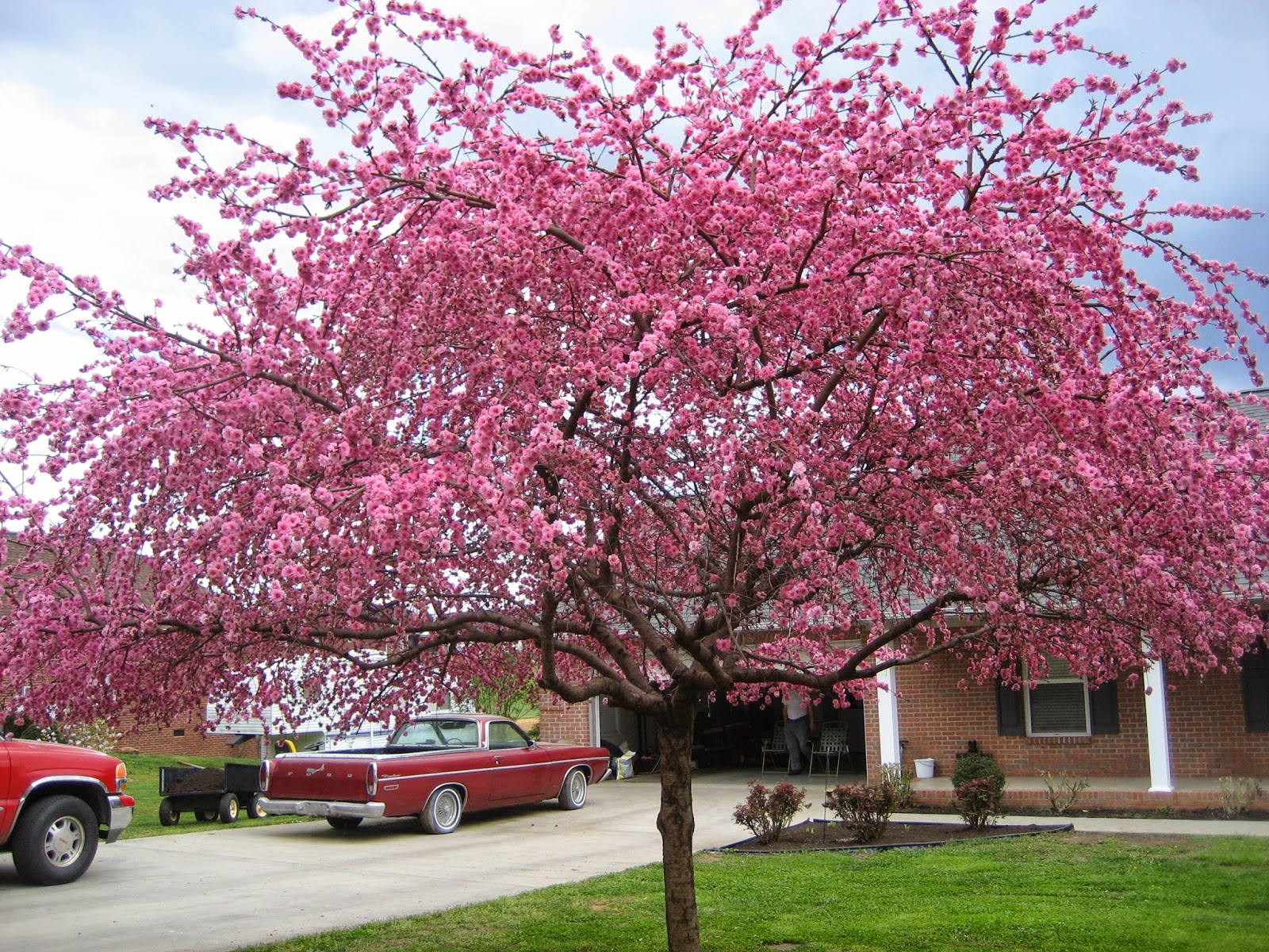 Valkyrie Adventure Spring In East Tennessee