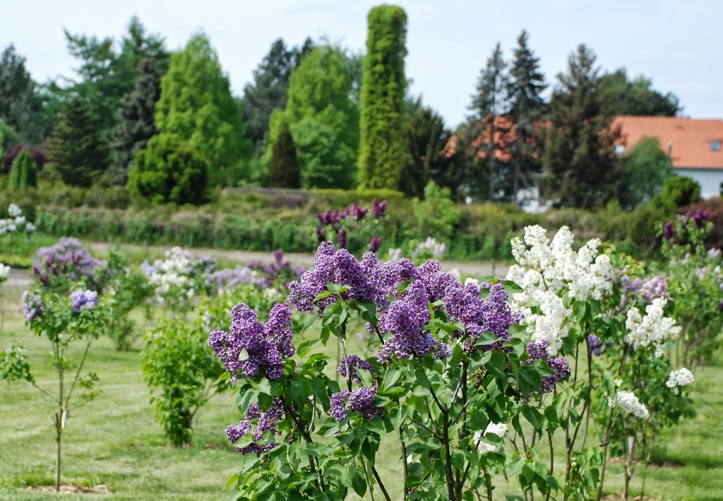 Zielona Metamorfoza Architektura Krajobrazu Ogrody Przestrzen