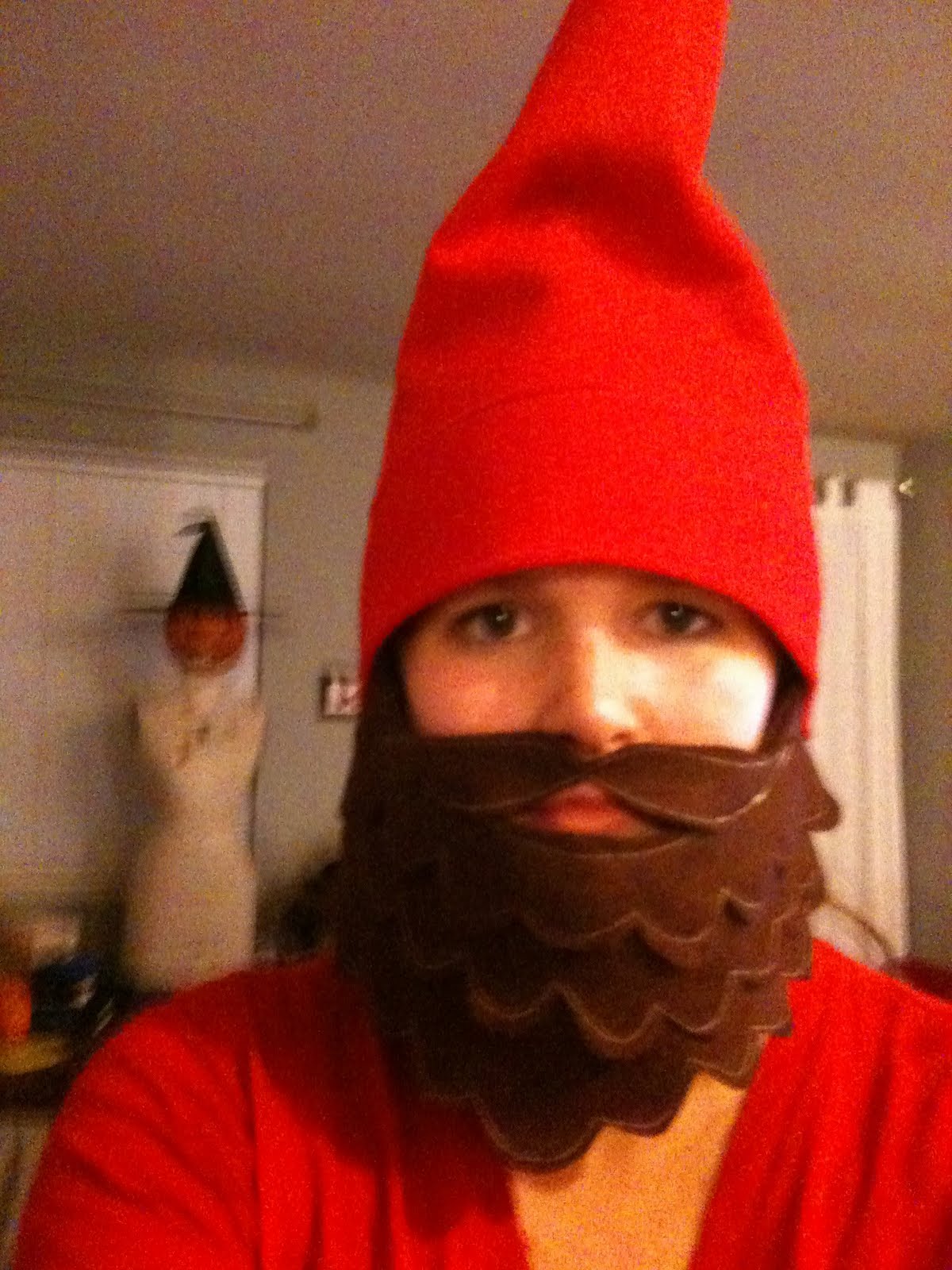 Moth and Sparrow Gnomes at Home