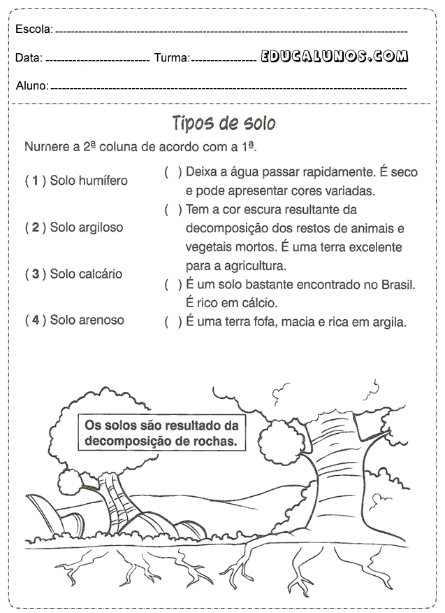 Os solos são resultados da decomposição de rochas