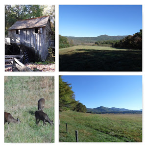 Cades Cove part 2