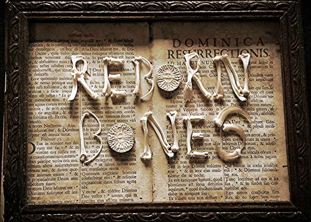 Reborn Bones