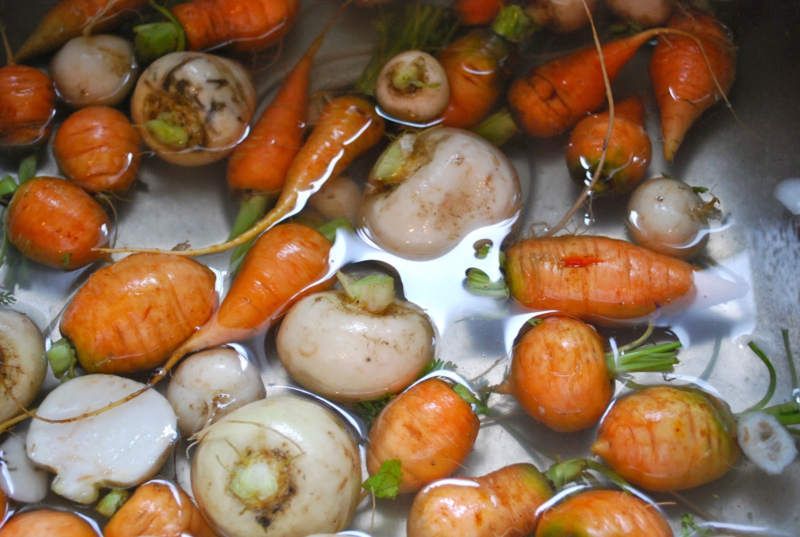 jules blaine davis roasted turnips & carrots.