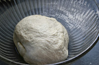 Dough for vegetable demi-baguettes