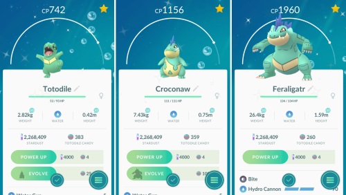 Keluarga Totodile shiny