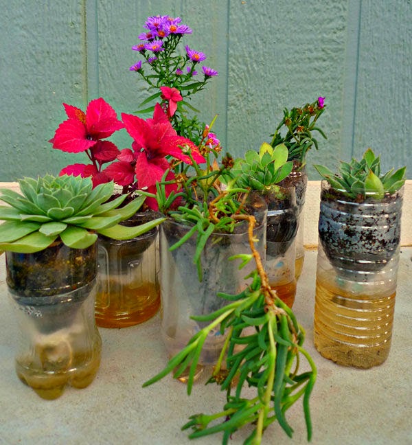 Tận dụng chai nhựa bỏ đi - 15