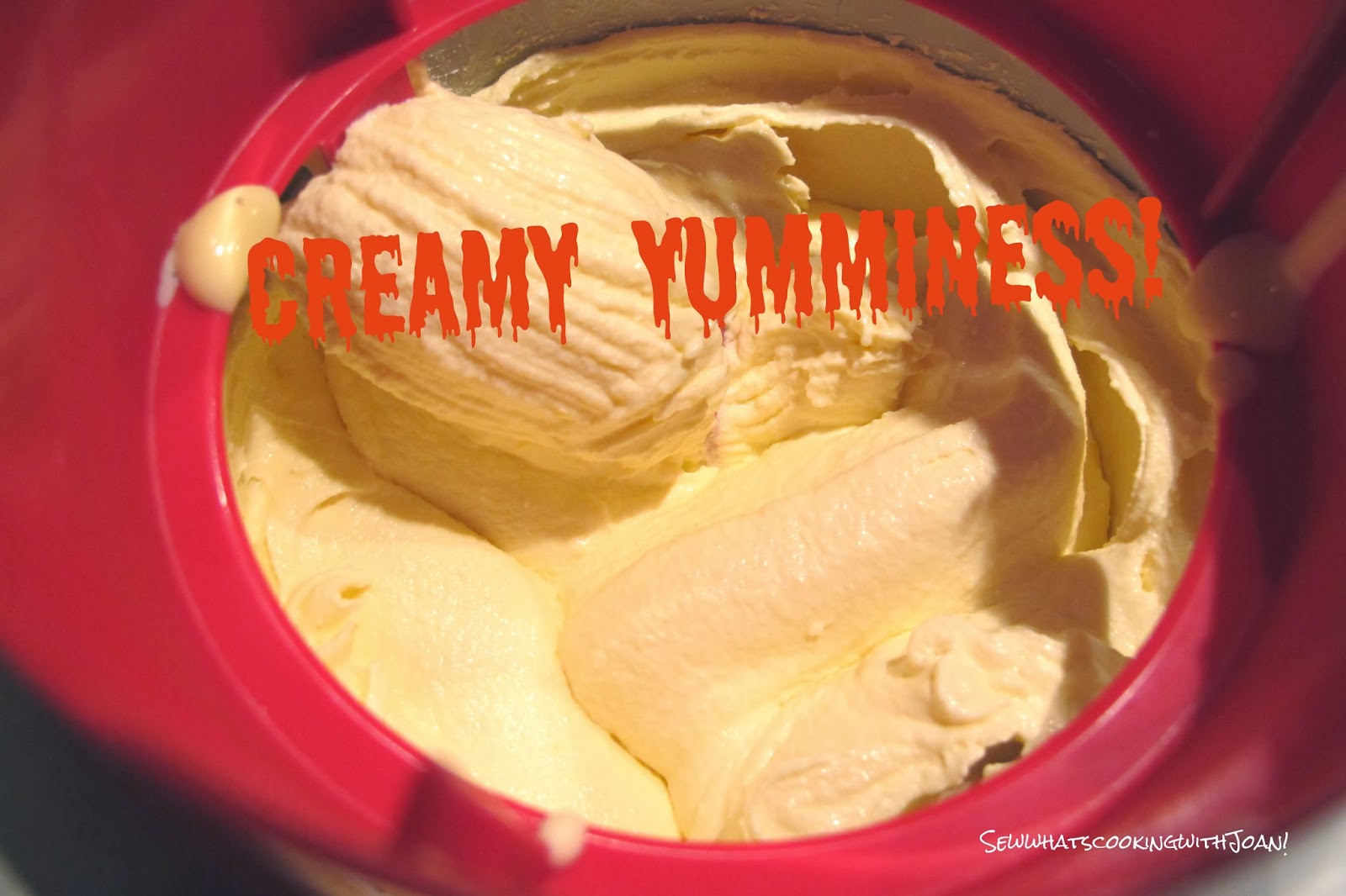 Sew what's cooking with Joan! Cinnamon Ice Cream David Lebowitz