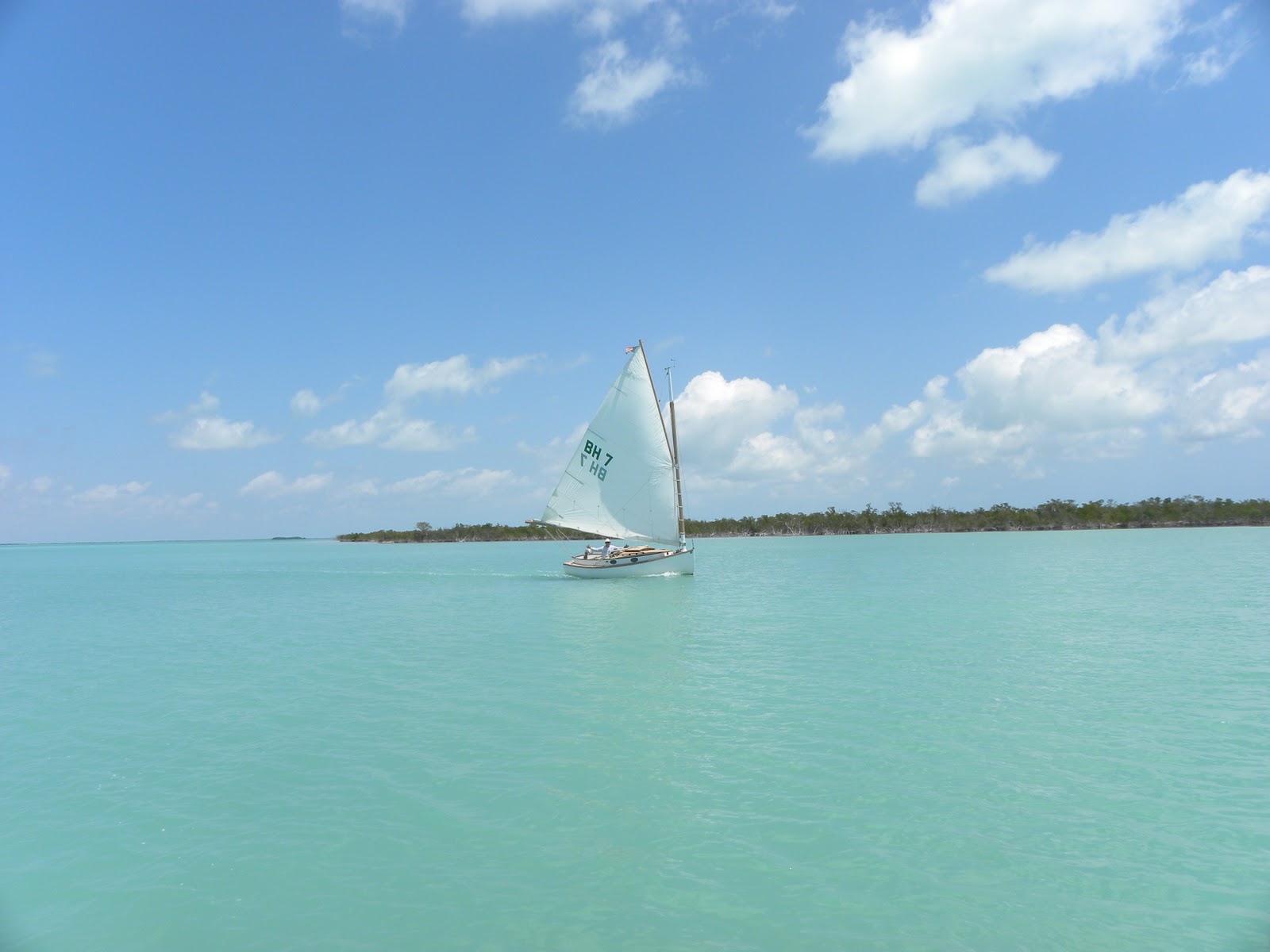MY LIFE IN THE FLORIDA KEYS AND BEYOND Nest Key Revisited...East Wind