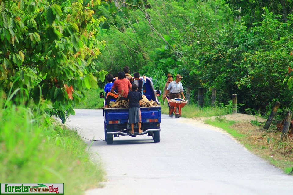 suasana pagi di pedesaan ~ FORESTER UNTAD BLOG