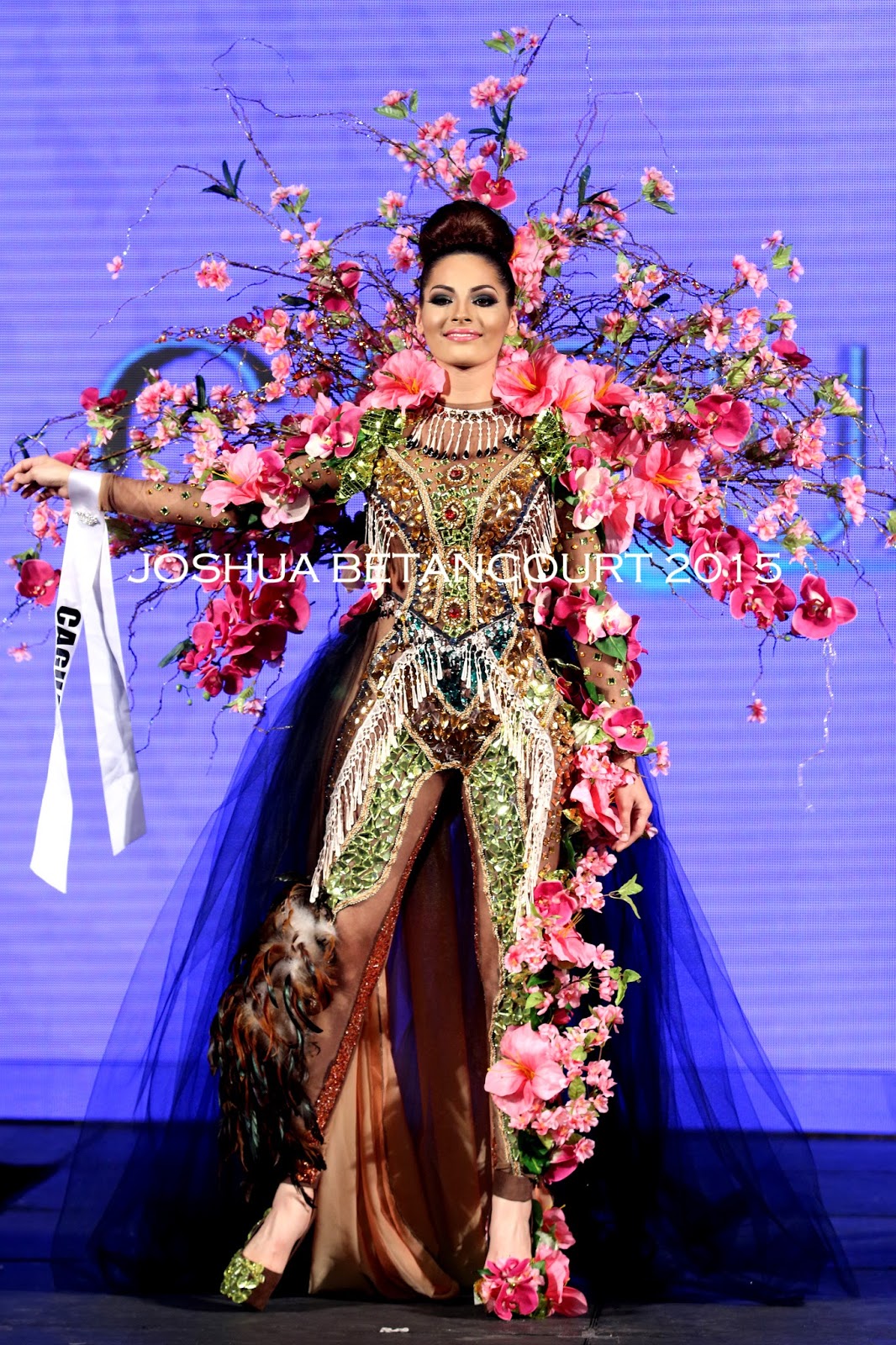 Miss Puerto Rico Universe 2016 National Costume Photos Joshua