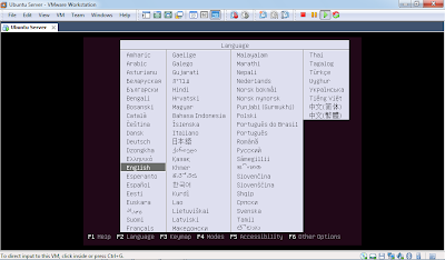 install universal media server on ubuntu server 12.04 install universal media server on ubuntu server 12.04