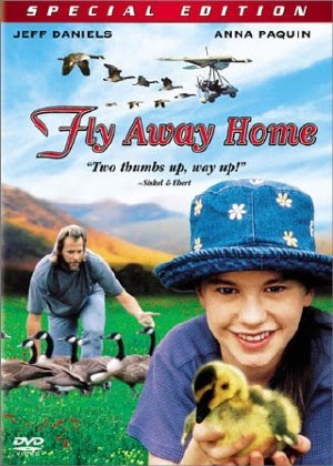 Chắp Cánh Bay Xa - Fly Away Home (1996) Vietsub 100