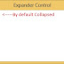 How to use Expander Control: WPF