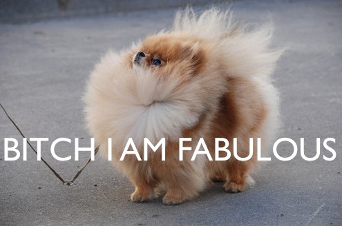 You Are Fab