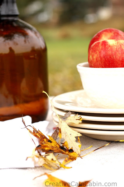 MICHIGAN APPLES