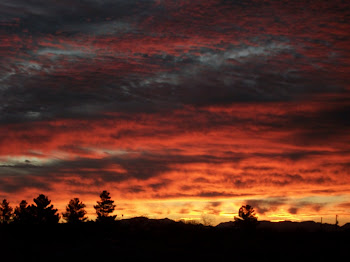 "Praise the Lord" sunrise