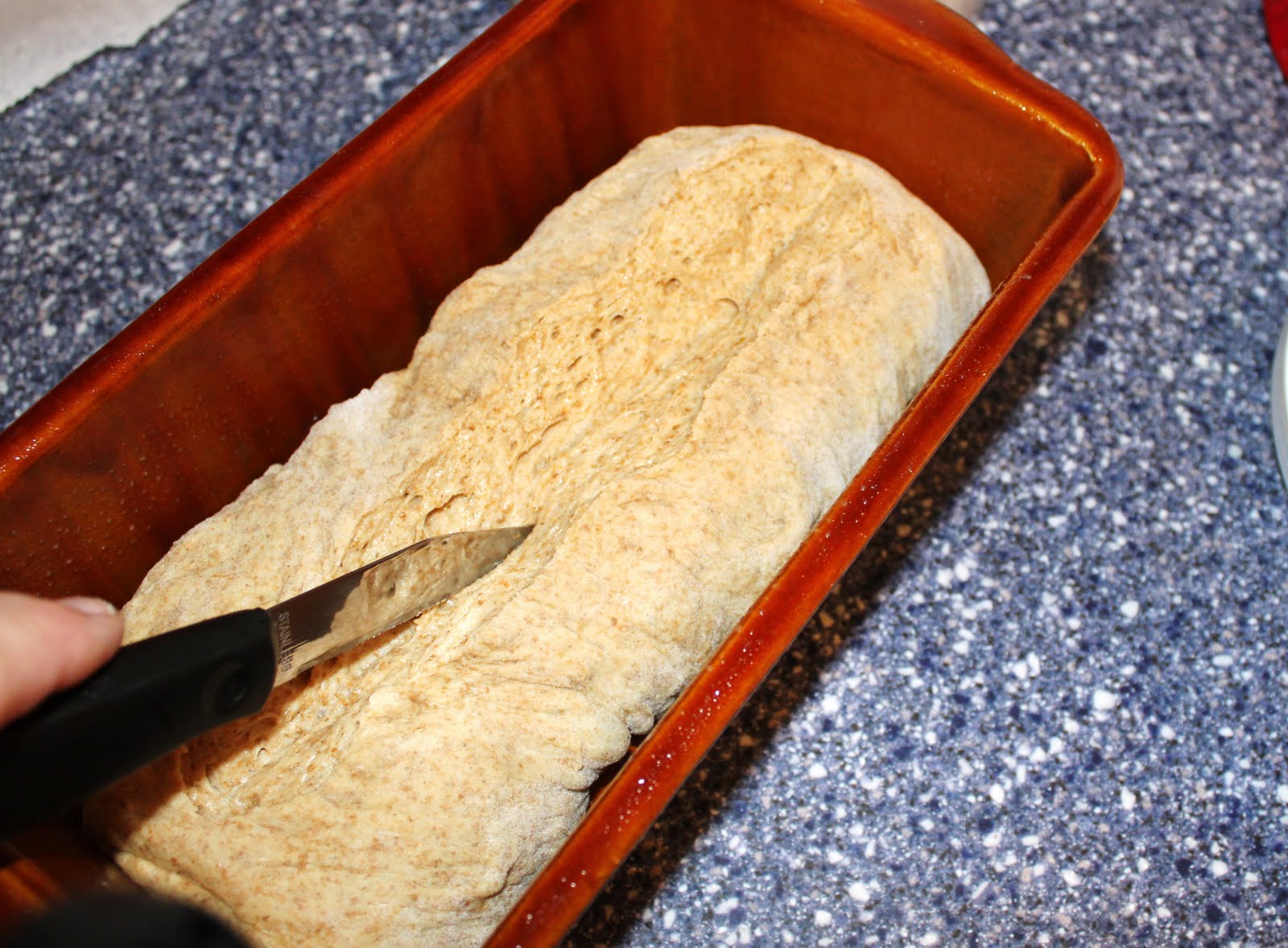 Sew Much 2 Luv How to "oven bake" your bread machine dough A Tutorial )