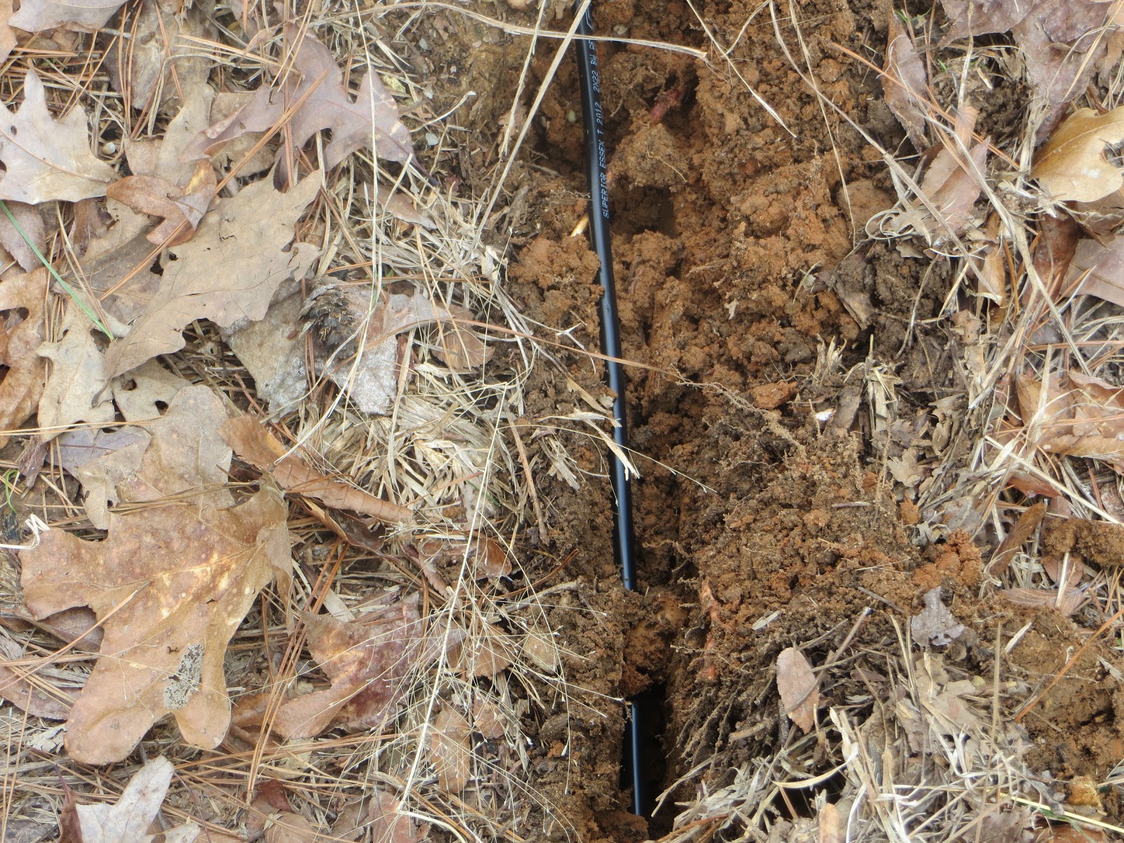 PrunePicker Bury phone line.