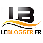 LeBlogger.fr - Gagner de l'argent avec le Blogging Pro
