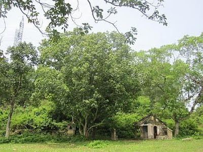 Bí ẩn Lăng Sọ (Huế) 8