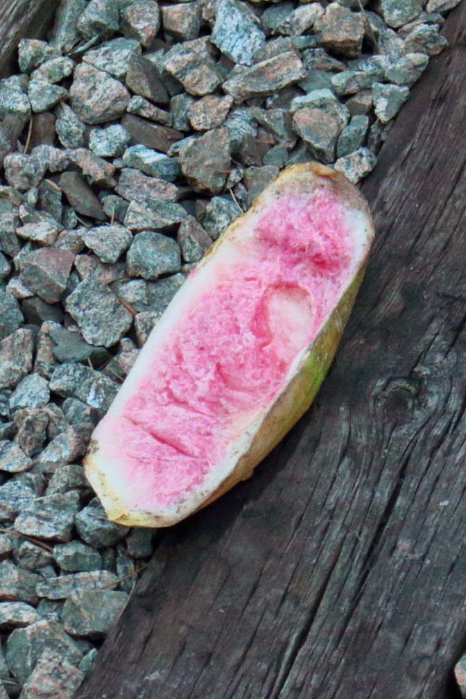 what's in a word? When Good Fruit Goes Bad