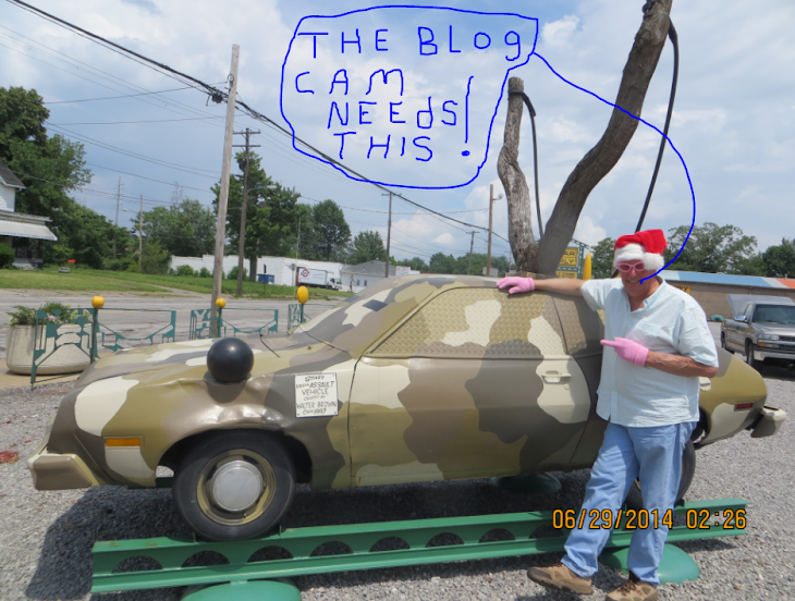 Could this be the new Brady Lake Village blog cam Swat Pinto ?