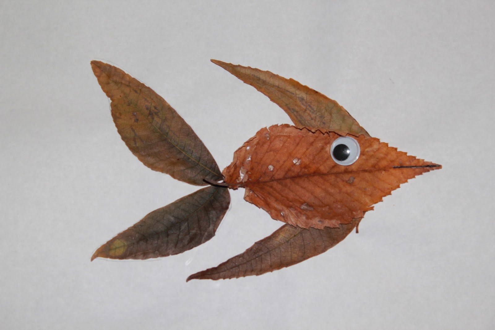 mommy's baby love fall leaves animal creatures