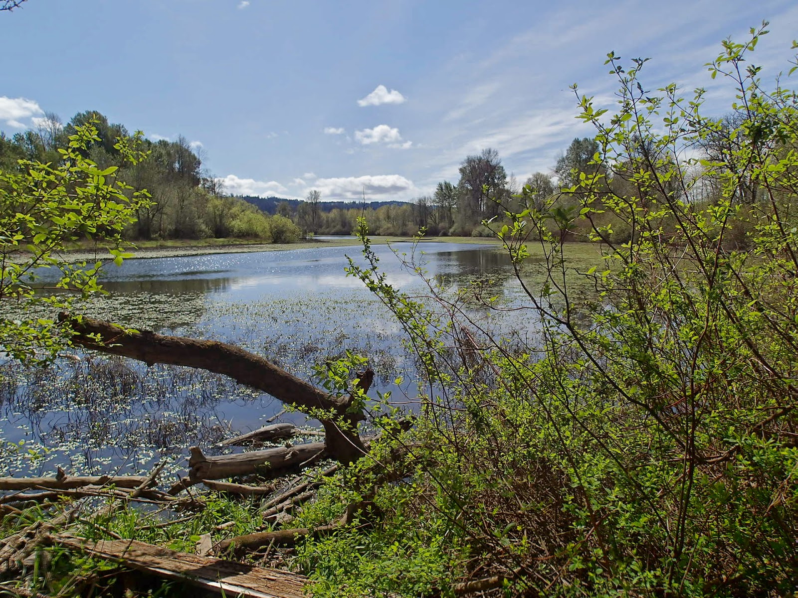 Casing Oregon MintoBrown Island Park A Spring WarmUp