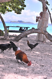 St. Thomas wedding packages