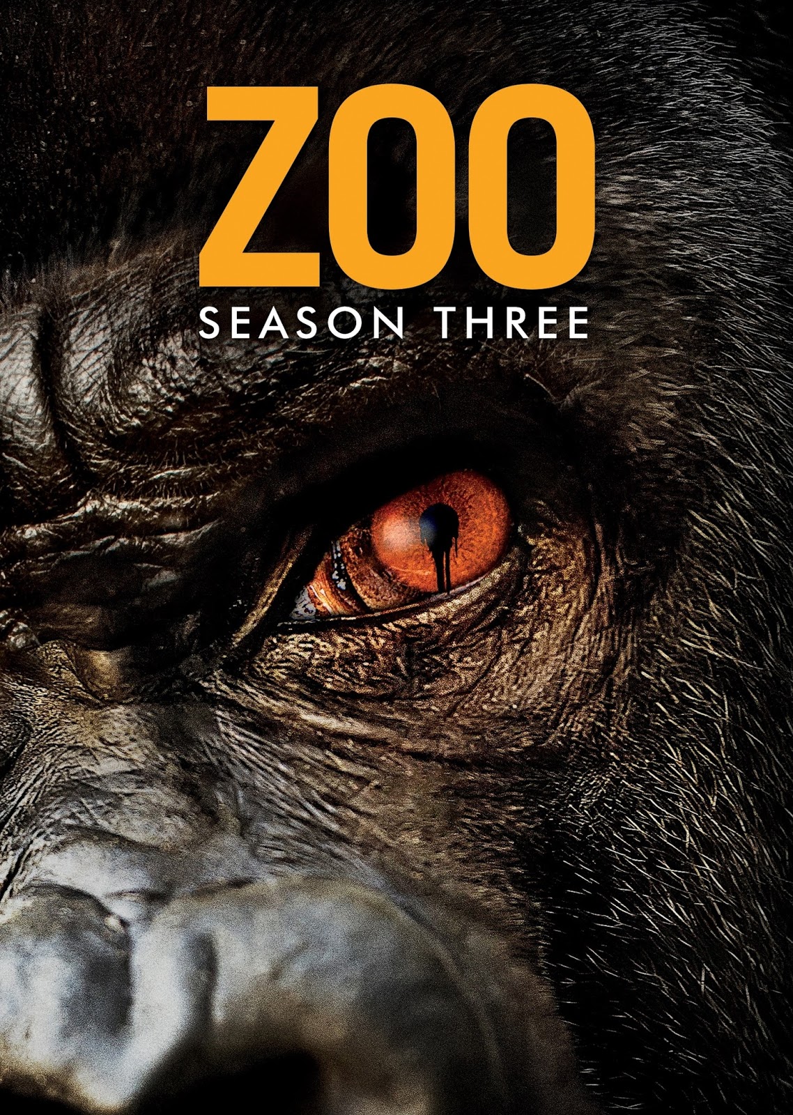 The Reel Roundup Everything Movies & More Win 'Zoo Season Three' on DVD