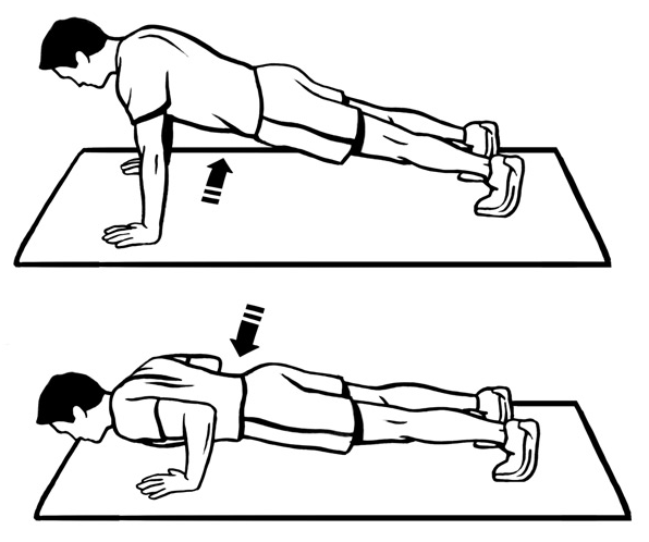 push up diagram push up diagram 28 images push up glutes routine and push up diagram push up diagram 28 images push up glutes routine and