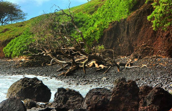 Hana District, East Maui