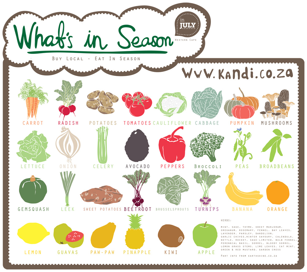 K&i Our Wonderful World What's in season in July