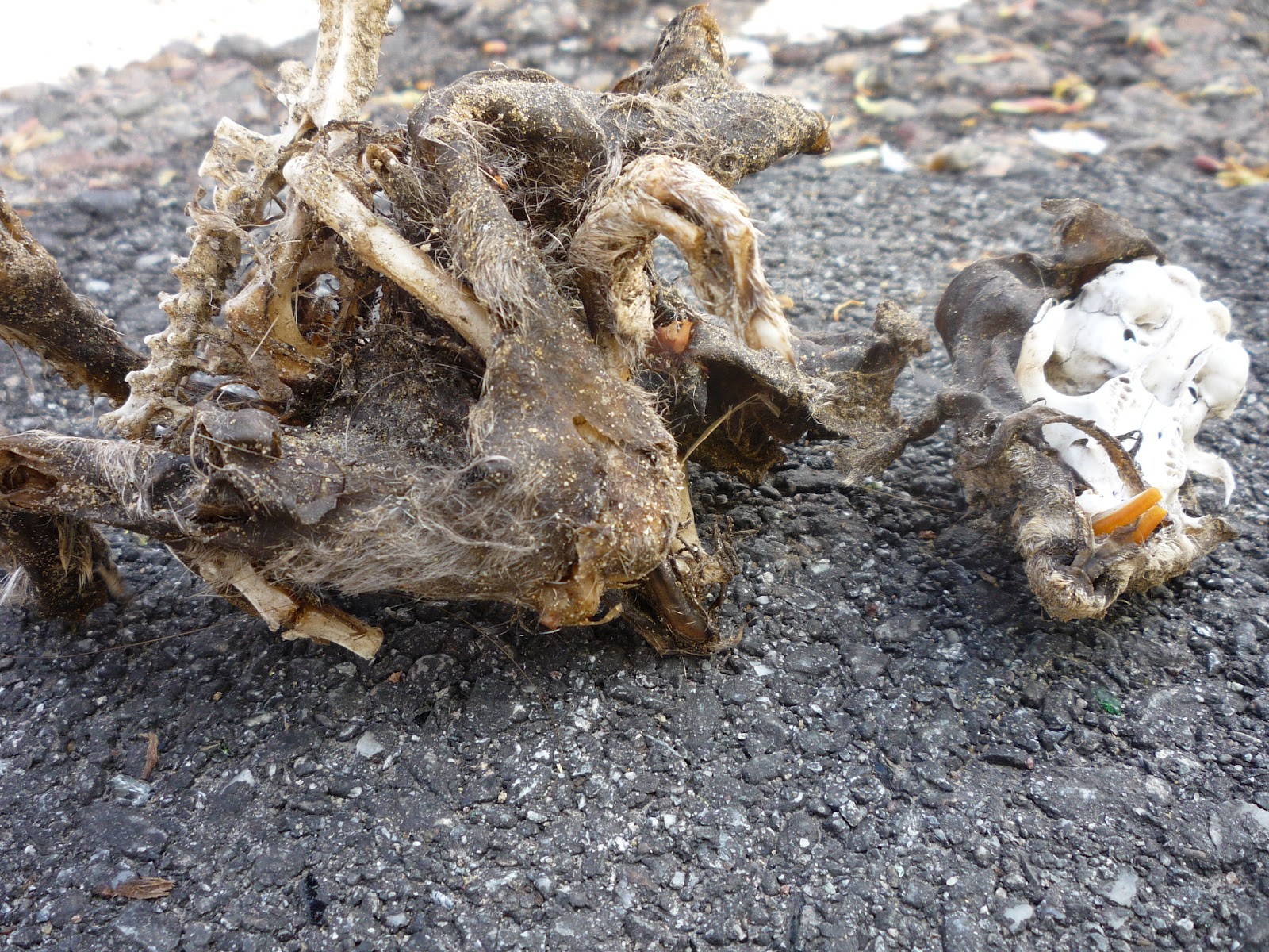 hook up burlington vt