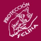 Protección Felina