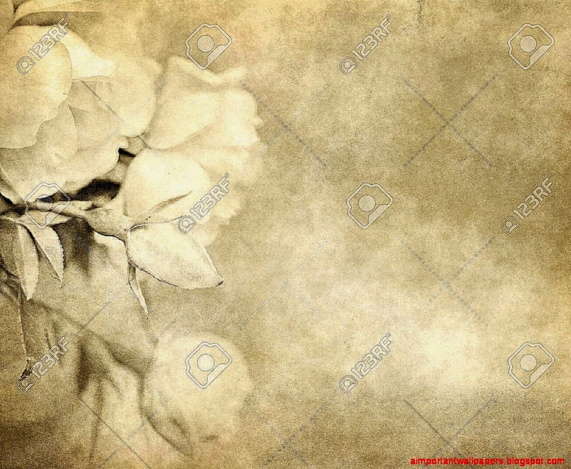 Old Worn Parchment Paper Background With Roses Stock Photo Old Worn Parchment Paper Background With Roses Stock Photo